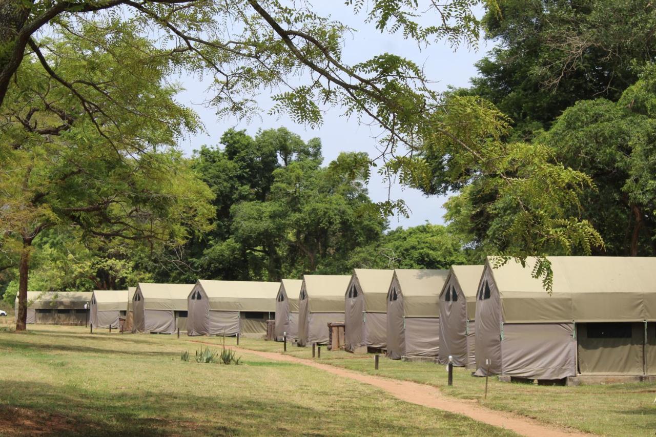 Lions Rock Rapids - Luxury Tented Camp Хейзивью Экстерьер фото