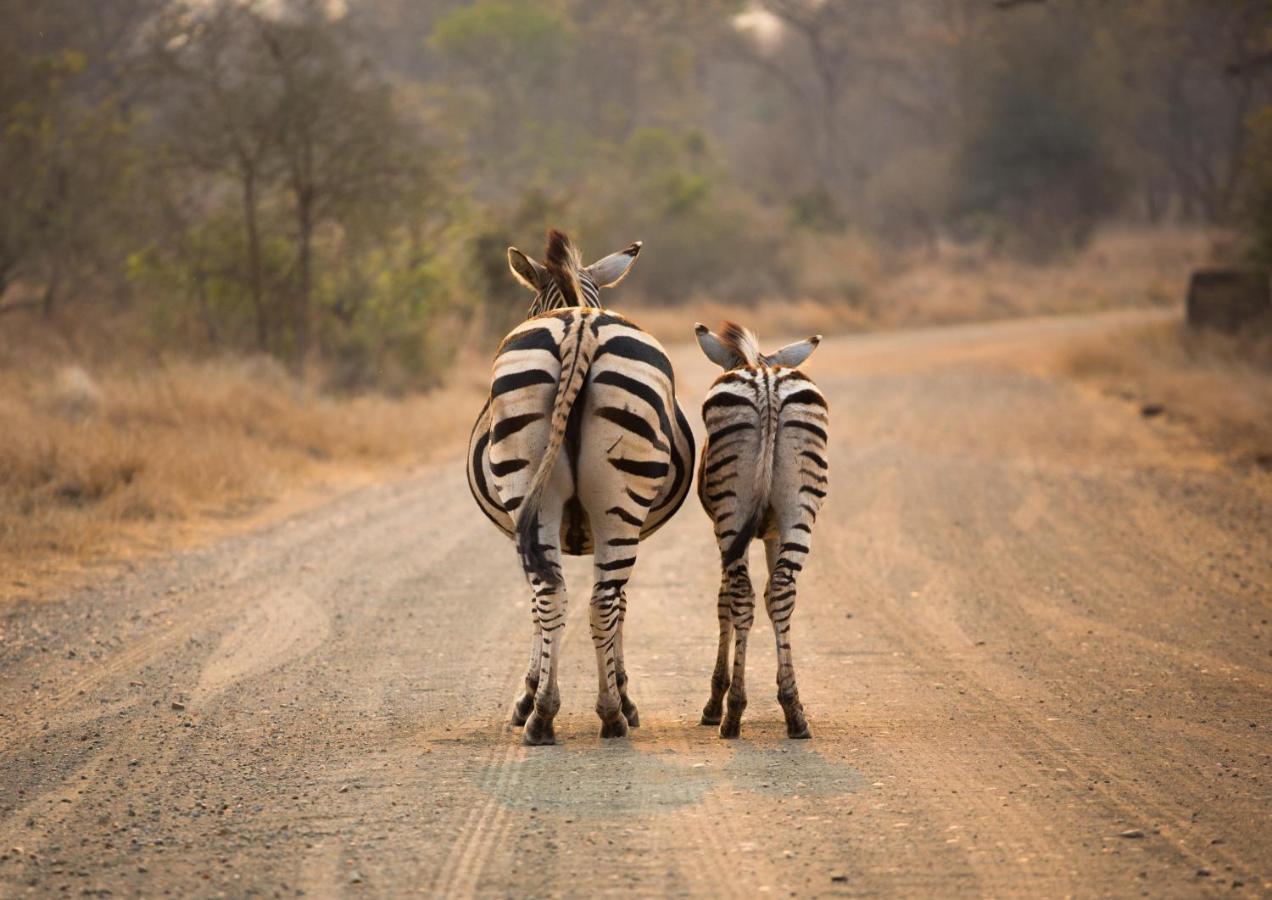 Lions Rock Rapids - Luxury Tented Camp Хейзивью Экстерьер фото